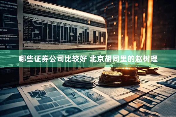 哪些证券公司比较好 北京胡同里的赵树理