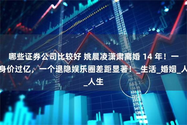 哪些证券公司比较好 姚晨凌潇肃离婚 14 年！一个身价过亿，一个退隐娱乐圈差距显著！_生活_婚姻_人生
