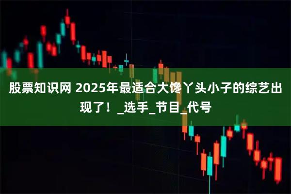 股票知识网 2025年最适合大馋丫头小子的综艺出现了！_选手_节目_代号