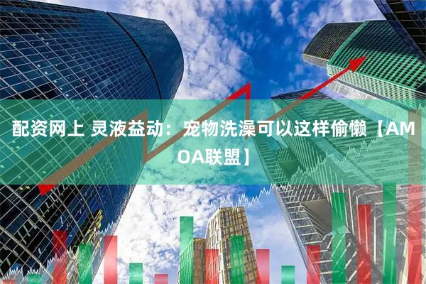 配资网上 灵液益动：宠物洗澡可以这样偷懒【AMOA联盟】