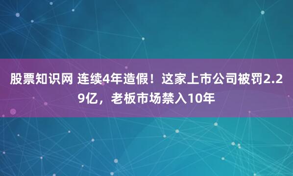 股票知识网 连续4年造假！这家上市公司被罚2.29亿，老板市场禁入10年