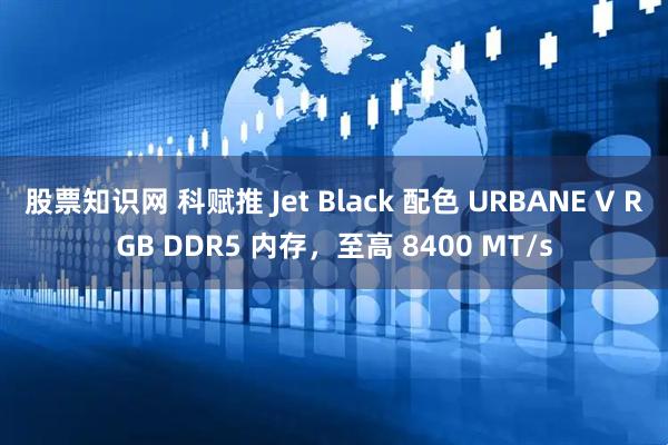 股票知识网 科赋推 Jet Black 配色 URBANE V RGB DDR5 内存,至高 8400 MT/s